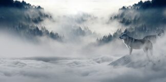 Jakie gumowce na zimę? Jakie gumowce na zimę?