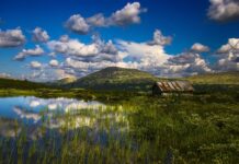 Jak zagęścić przerzedzone włosy?