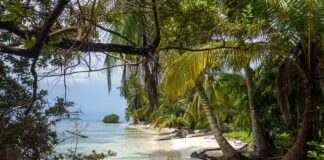 Ile kosztuje oryginalny kapelusz Panama?