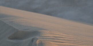 Jak rozpoznać katar bakteryjny? Jak rozpoznać katar bakteryjny?