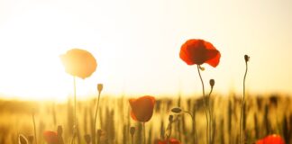 Jak wyglądają zajęcia pole dance?