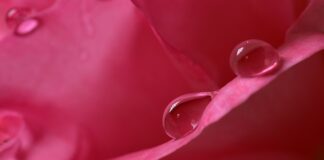 Jaka wilgotność przy 23 stopniach? Jaka wilgotność przy 23 stopniach?