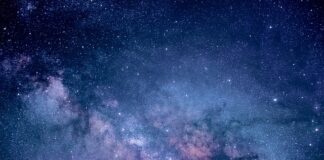 Jakie badania na wykrycie bakterii w organizmie?