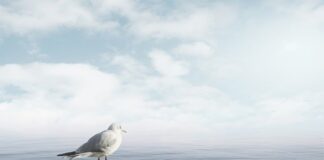 Co jeść żeby uspokoić jelita?