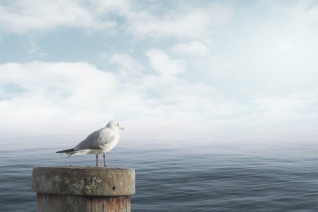 Co jeść żeby uspokoić jelita? Co jeść żeby uspokoić jelita?