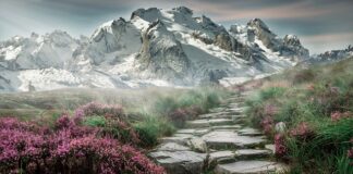 Jak zmiękczyć kamienie kałowe? Jak zmiękczyć kamienie kałowe?