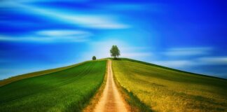 Co daje chodzenie w drewniakach?