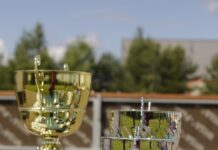 Statuetki z grawerem jako nagroda za rozwój, nie tylko wynik – jak doceniać drogę do sukcesu? statuetki z grawerem