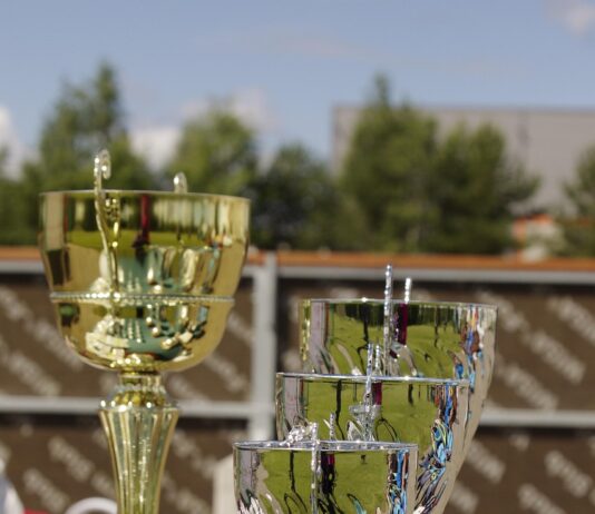 Statuetki z grawerem jako nagroda za rozwój, nie tylko wynik – jak doceniać drogę do sukcesu? statuetki z grawerem